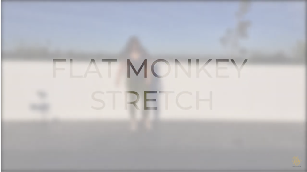 #6 Flat monkey stretch.